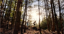 MTB Tour with technique course at Center Parcs Park Allgäu