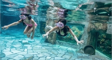 Dive Introduction at Center Parcs Le Bois aux Daims