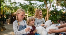 Kids Workshop: Make your own Stuffed Animal at Center Parcs Erperheide