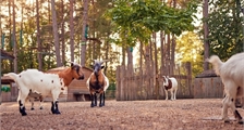 The Children's Farm at Center Parcs Park De Haan