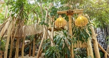 Jungle Dome at Center Parcs Het Heijderbos