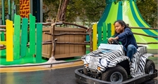 Mini-cars at Center Parcs Het Heijderbos