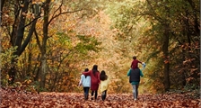 Digital Nature Discovery at Center Parcs Het Heijderbos