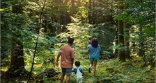 Digital Nature Discovery at Center Parcs De Huttenheugte