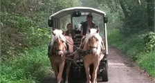 Center Parcs Excursions: Covered wagon ride at Center Parcs Limburgse Peel