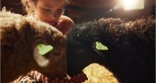 Animal care at Center Parcs Parc Sandur