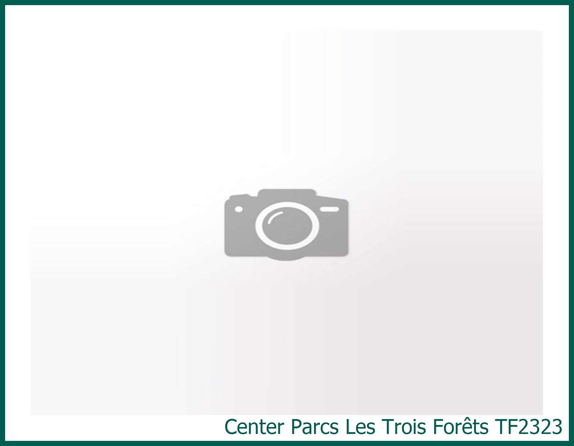 Premium cottage  Renewed TF2323 at Les Trois Forêts