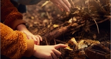 Digital Nature Discovery at Center Parcs Les Trois Forêts
