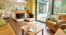 Premium cottage VM627 at Center Parcs De Vossemeren