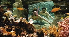 Snorkelling Pool at Center Parcs De Vossemeren
