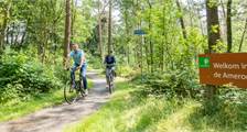 Surroundings activities at Landal Amerongse Berg