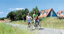 Hiking and Cycling activities at Landal Dwergter Sand