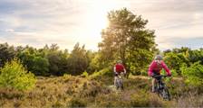 Hiking and cycling activities at Landal Hunerwold State