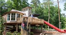 Tree house 4CTH at Landal Miggelenberg