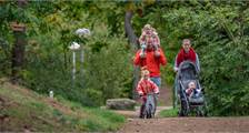 Hiking and cycling activities at Landal Het Vennenbos