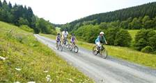 Hiking and cycling activities at Landal Winterberg