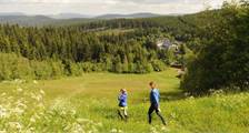 Surroundings activities at Landal Winterberg