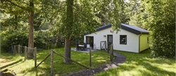 4-person dog bungalow 4BD at Landal Wirfttal