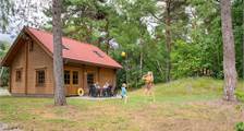 Cottage Sparrendaal at RCN Het Grote Bos