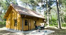 Cottage Holiday home sparrendaal at RCN Het Grote Bos